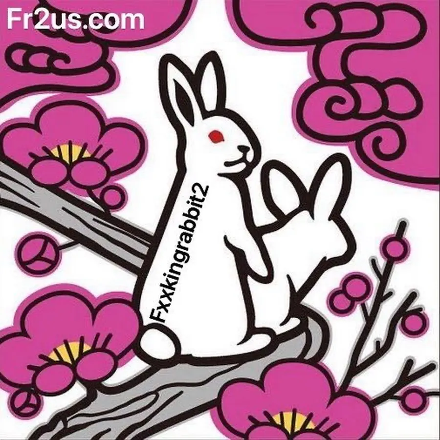 洛杉矶华人区 · FR2 日本女优订制